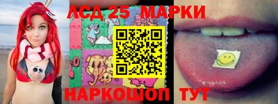 индика Кандалакша