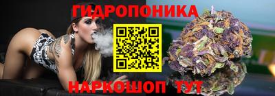 индика Кандалакша