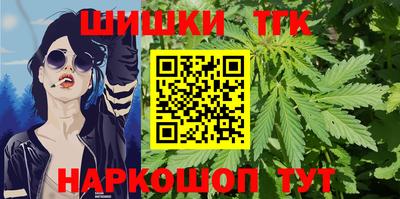 индика Кандалакша
