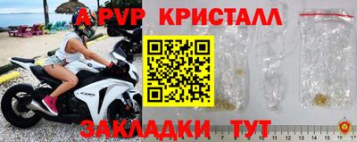 индика Кандалакша