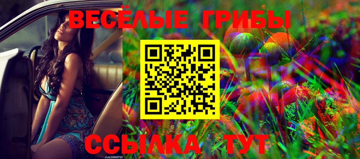 Галлюциногенные грибы Cubensis Красноярск