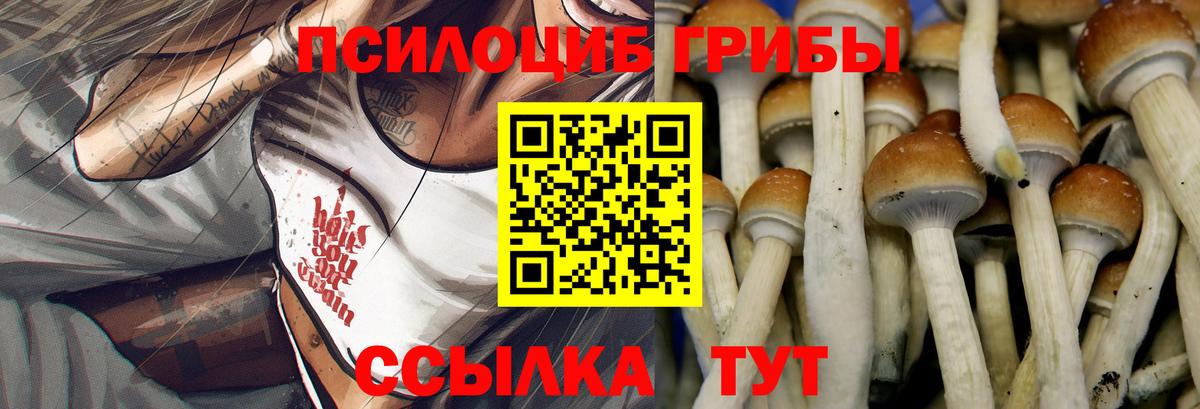 Псилоцибиновые грибы Psilocybine cubensis  Вход с VPN  Красноярск 