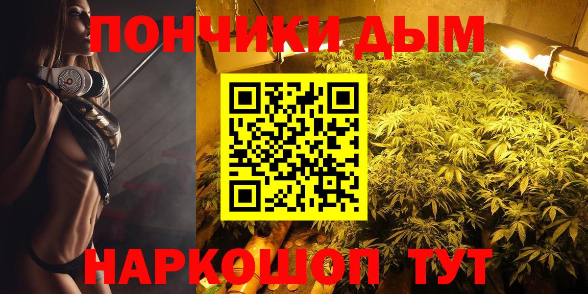 Бошки марихуана марихуана Красноярск
